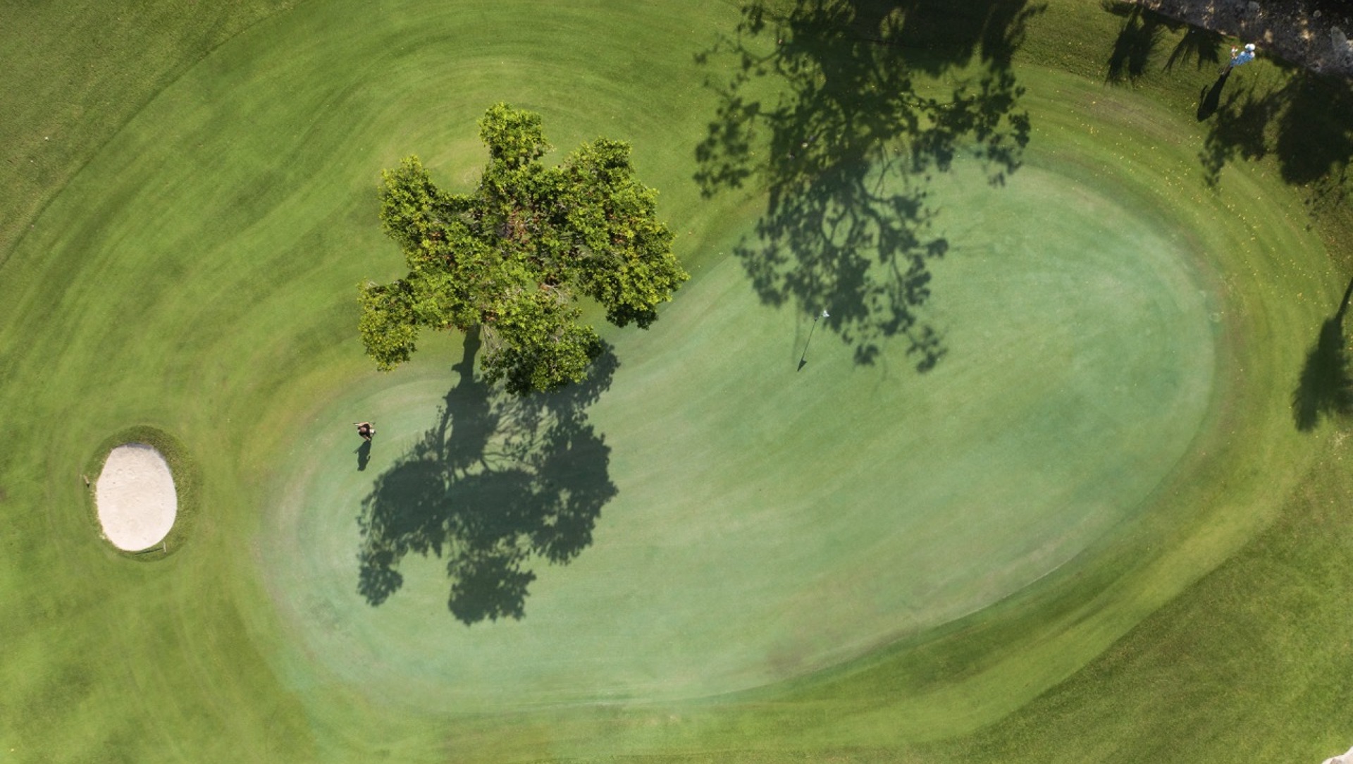 Iberostar Playa Paraiso Golf Club